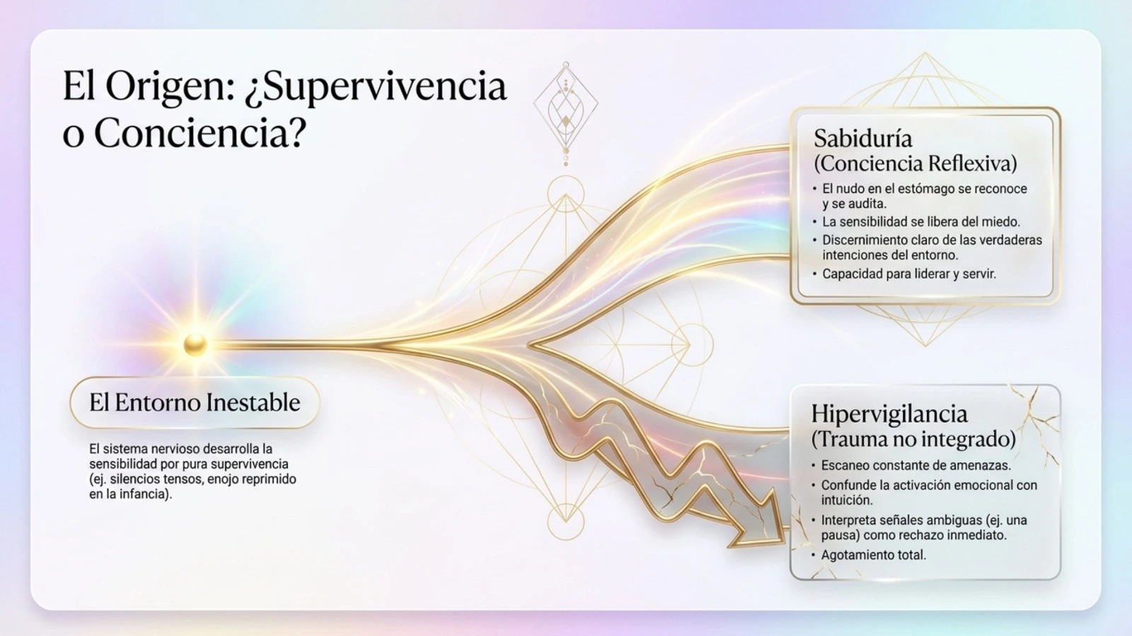 La Gnosis de la Sombra 5D (4)